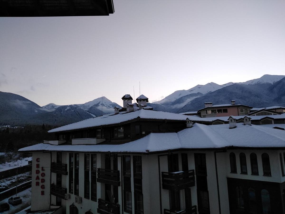 Bansko Royal Towers - Studio 153 Esterno foto